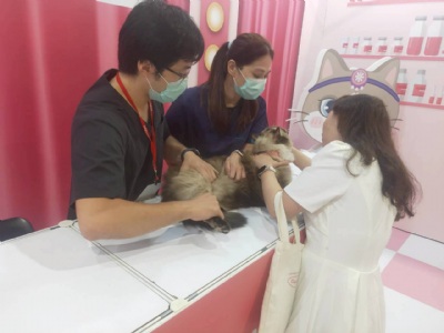 韓國(guó)喵美所