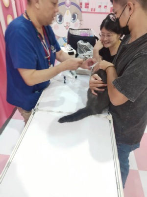 韓國(guó)喵美所